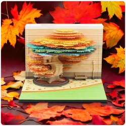 LỊCH ĐỘC LẠ CÂY MÙA THU